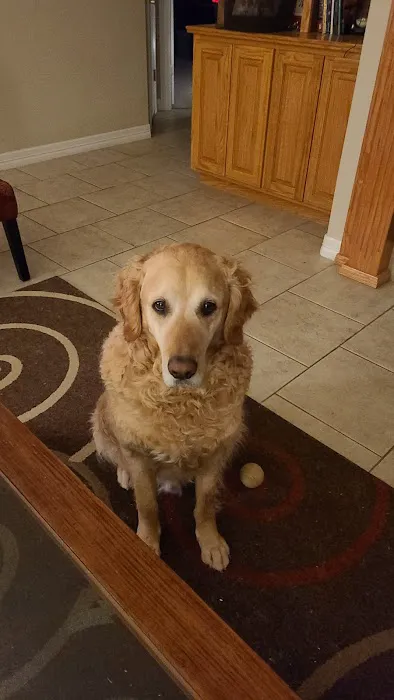 Animal Medical Center at Pinnacle Hills Picture 1