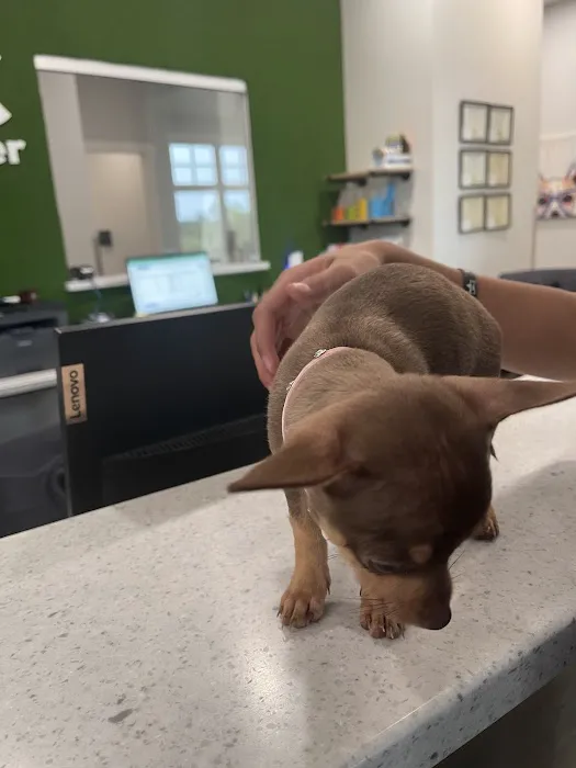 Animal Medical Center at Pinnacle Hills Picture 4