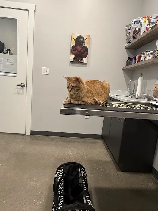 Animal Medical Center at Pinnacle Hills Picture 8