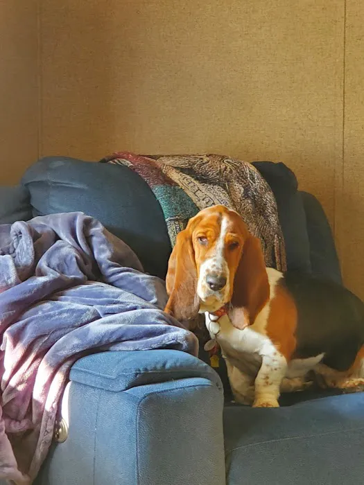 Animal Medical Center at Pinnacle Hills Picture 6