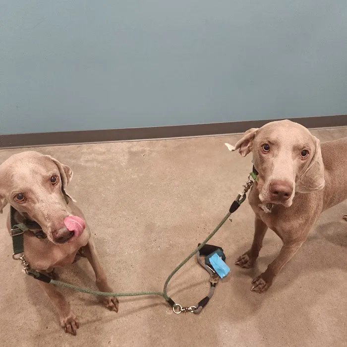 Animal Medical Center at Pinnacle Hills Picture 7