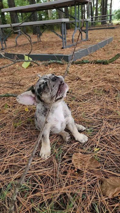 Faithful Friends Animal Clinic Picture 4