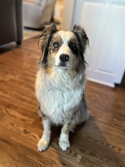 Faithful Friends Animal Clinic Picture 5