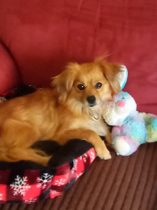 Chetopa Veterinary Clinic Picture 1