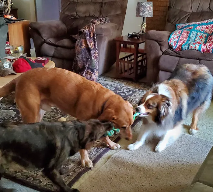 Columbus Veterinary Clinic Picture 2