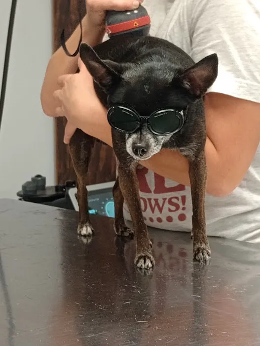 Columbus Veterinary Clinic Picture 1