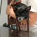 Columbus Veterinary Clinic