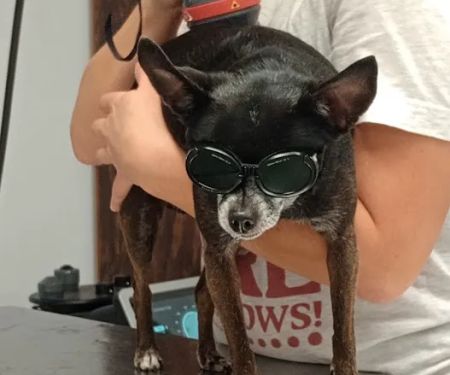 Columbus Veterinary Clinic