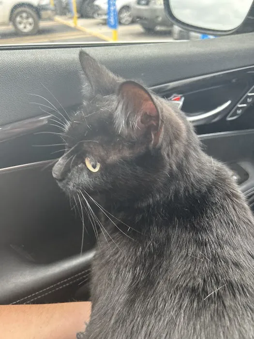 Columbus Veterinary Clinic Picture 7