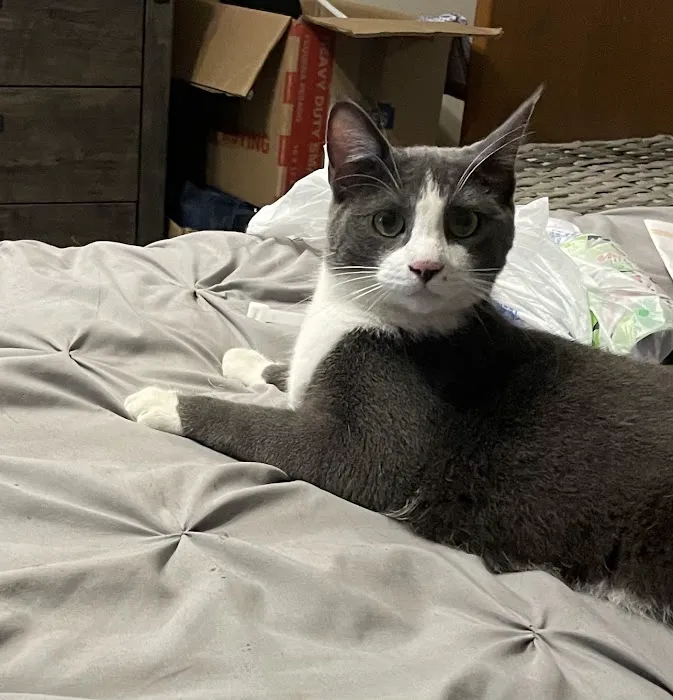 Columbus Veterinary Clinic Picture 6