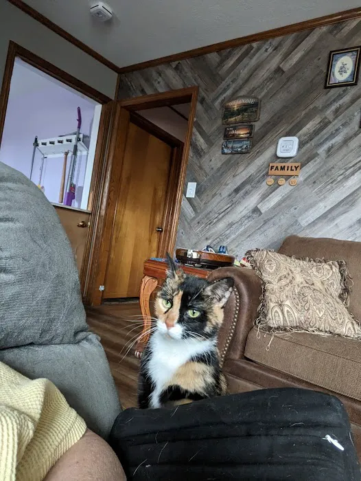 Columbus Veterinary Clinic Picture 5