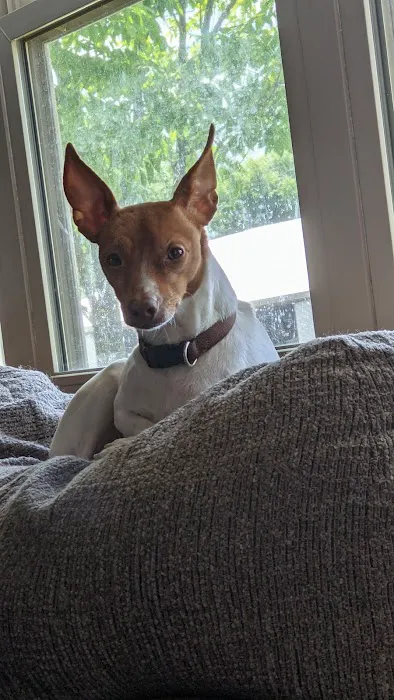 Columbus Veterinary Clinic Picture 3