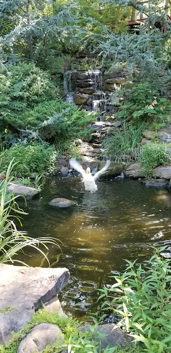 Columbus Veterinary Clinic Picture 9