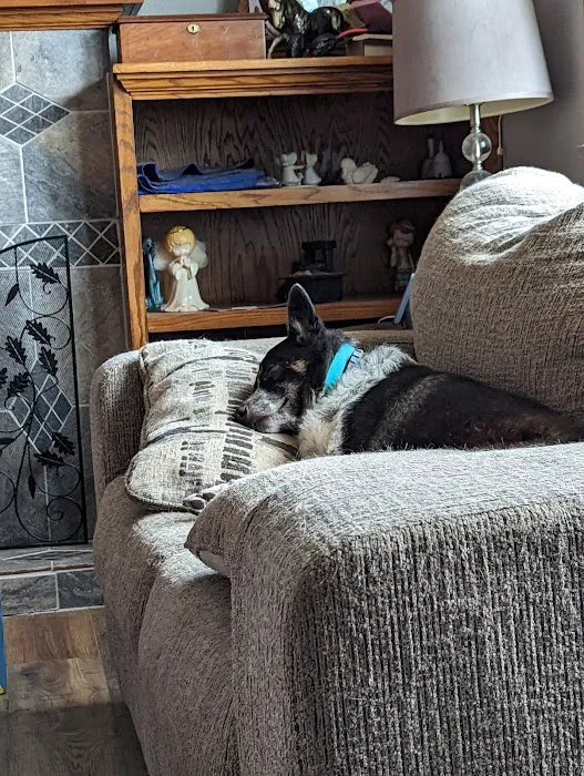 Columbus Veterinary Clinic Picture 8