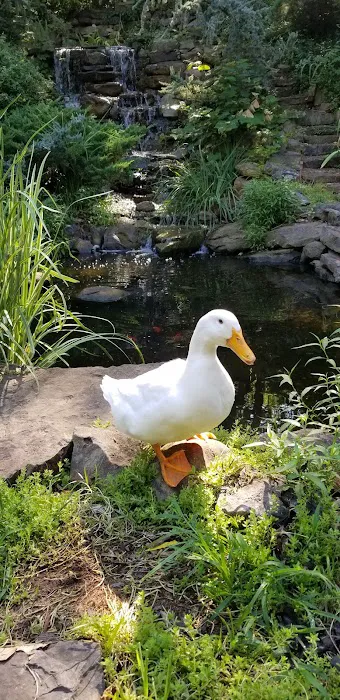Columbus Veterinary Clinic Picture 10