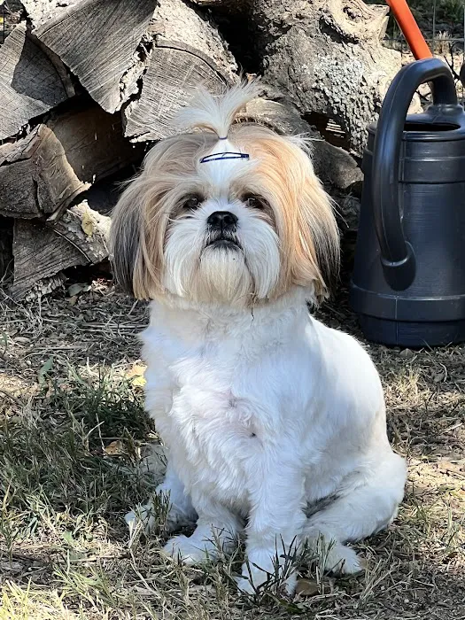 Barta Animal Hospital Picture 2