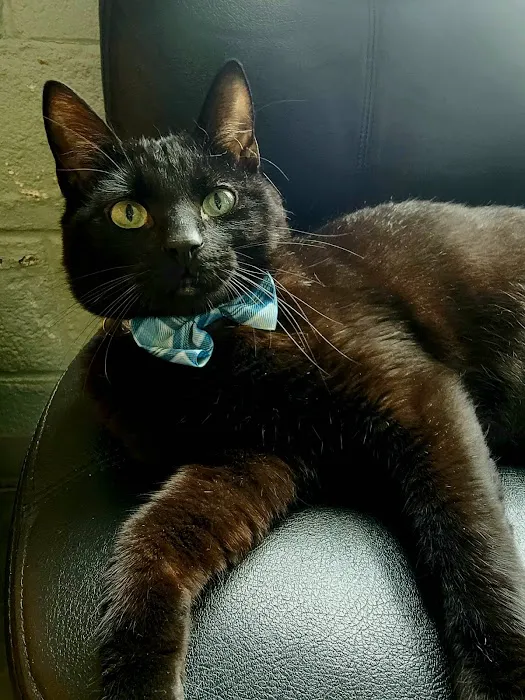 Barta Animal Hospital Picture 8