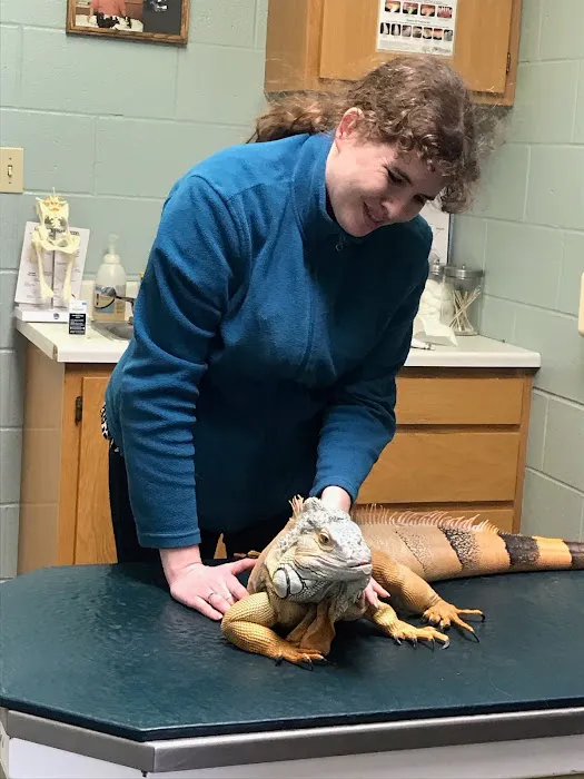 Barta Animal Hospital Picture 5