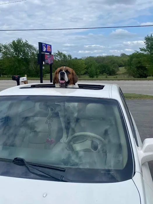 Barta Animal Hospital Picture 3