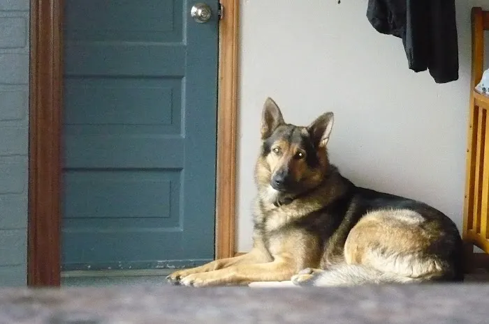 Barta Animal Hospital Picture 4