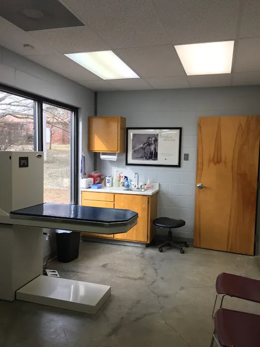 Barta Animal Hospital Picture 6