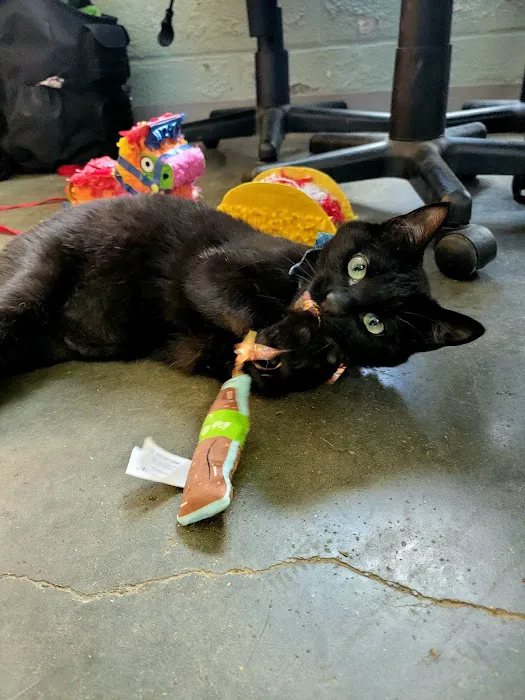 Barta Animal Hospital Picture 10