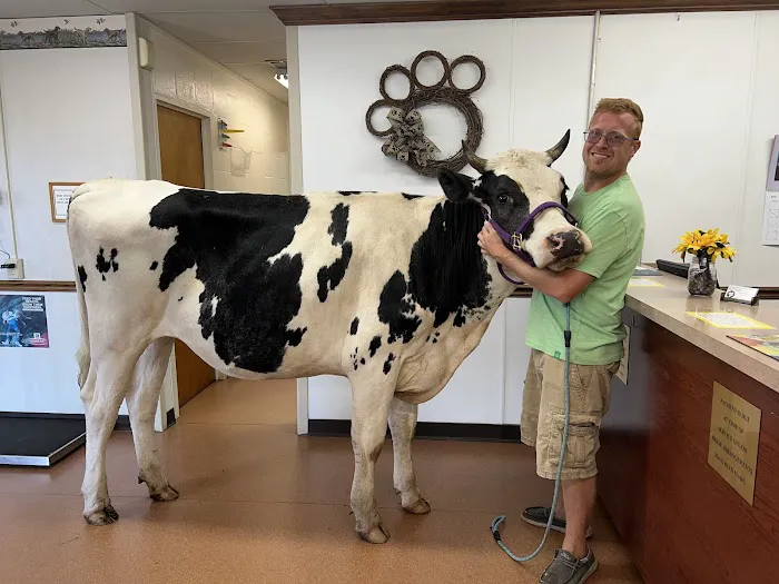 Independence Animal Hospital Picture 4