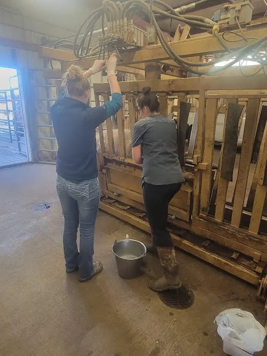 Independence Animal Hospital Picture 1