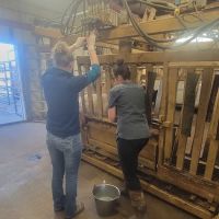 Independence Animal Hospital ico