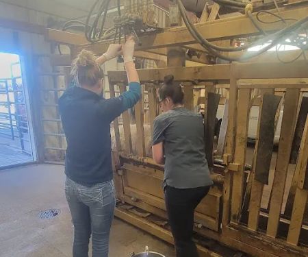 Independence Animal Hospital