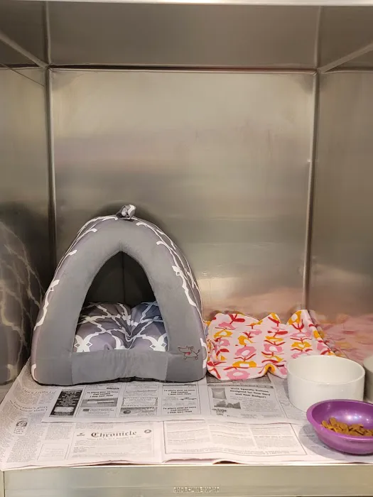 Independence Animal Hospital Picture 6