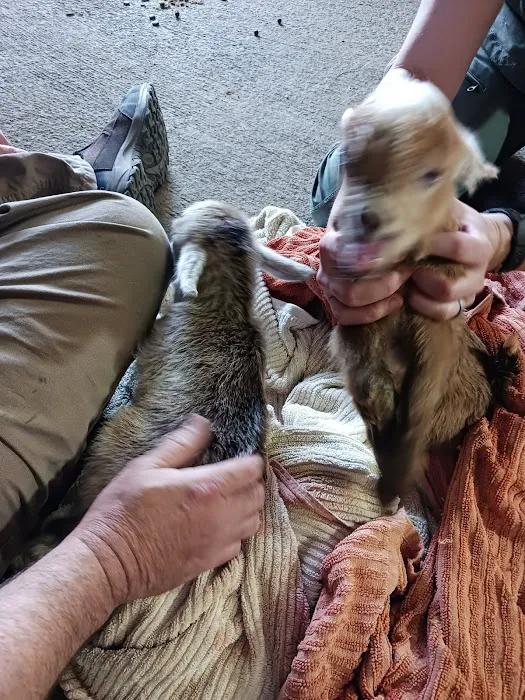 Independence Animal Hospital Picture 8