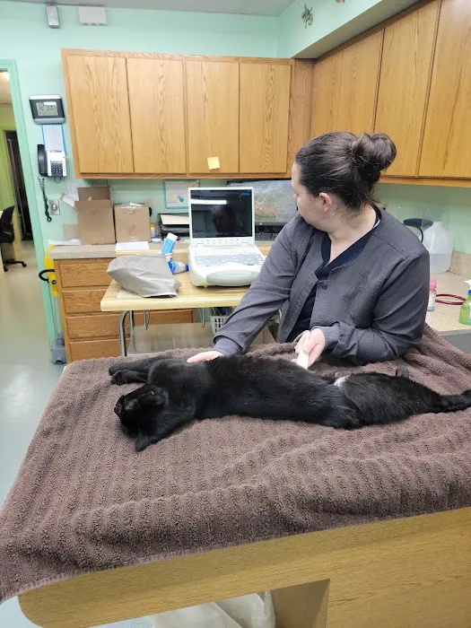 Independence Animal Hospital Picture 7