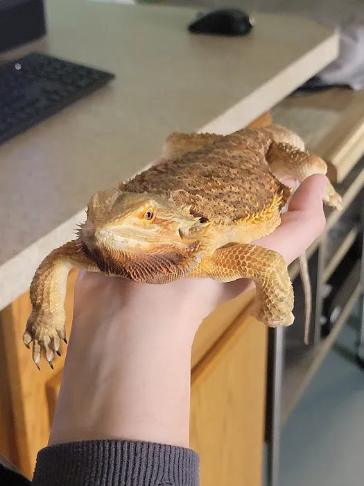 Independence Animal Hospital Picture 5