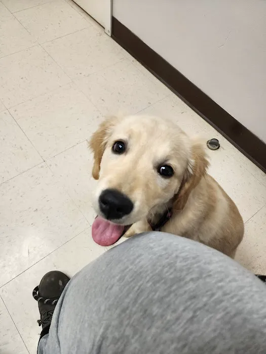 Animal Clinic of S.E. Kansas Picture 1