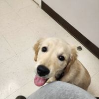 Animal Clinic of S.E. Kansas ico