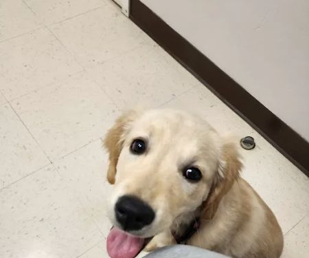 Animal Clinic of S.E. Kansas