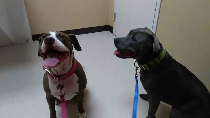 Animal Clinic of S.E. Kansas Picture 4