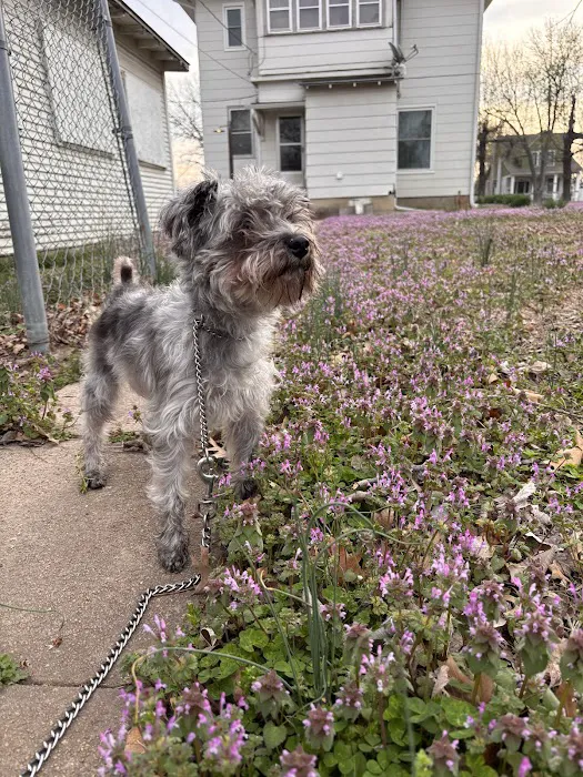 Animal Clinic of S.E. Kansas Picture 7