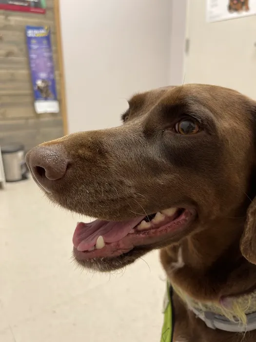 Animal Clinic of S.E. Kansas Picture 5