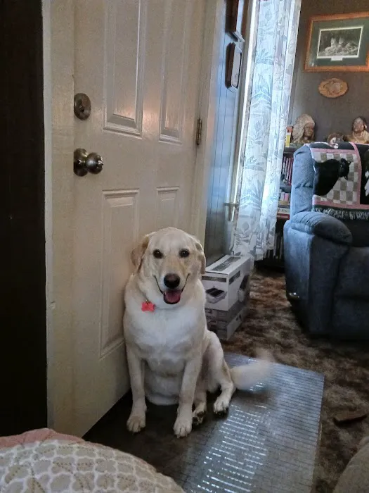 Animal Clinic of S.E. Kansas Picture 9