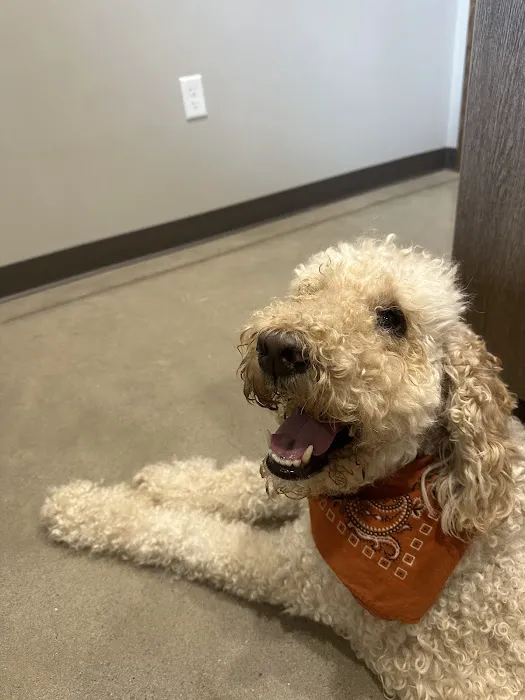 All Pets Animal Hospital (Rogers) Picture 1