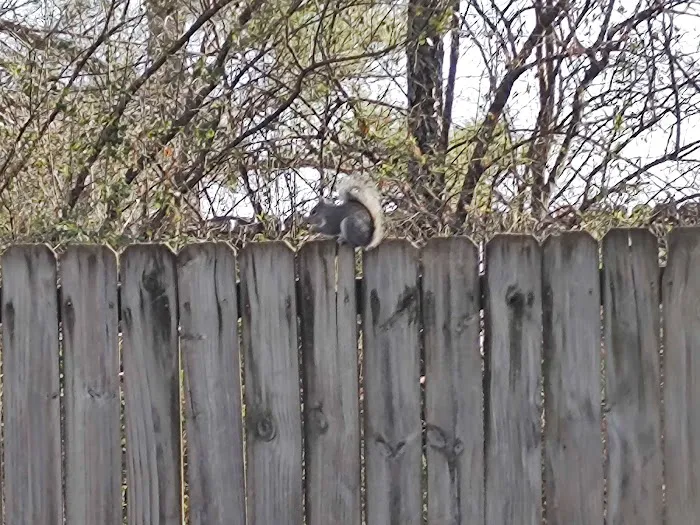 All Pets Animal Hospital (Rogers) Picture 8