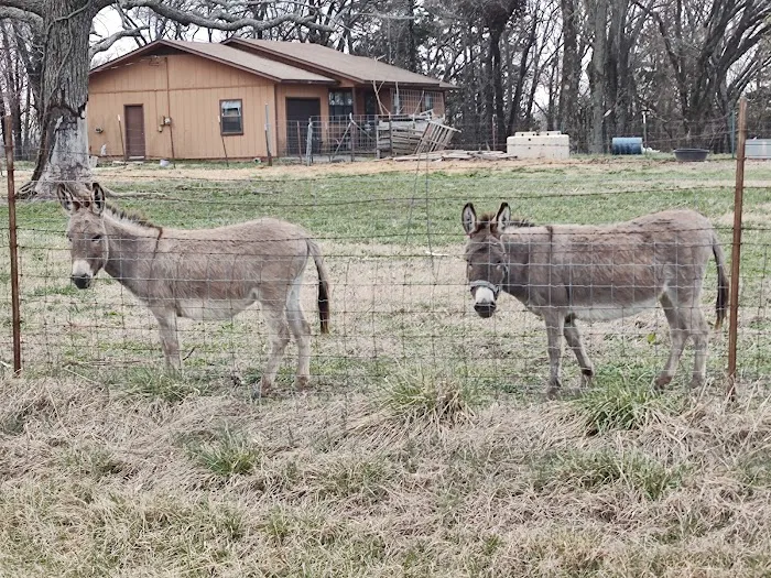 All Pets Animal Hospital (Rogers) Picture 9