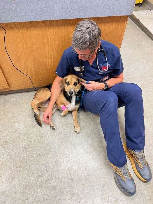 New Hope Animal Hospital Picture 2