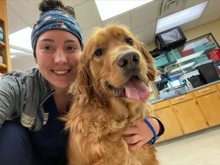 New Hope Animal Hospital Picture 1