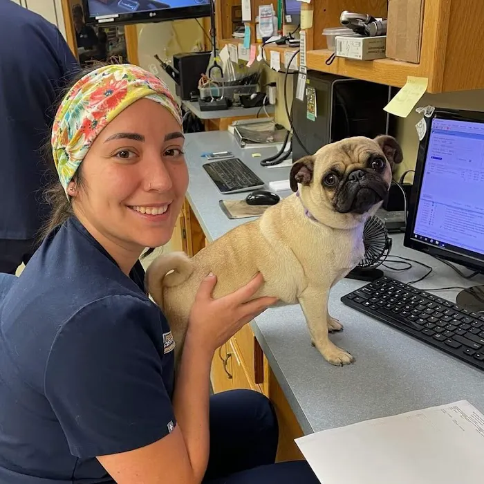 New Hope Animal Hospital Picture 5