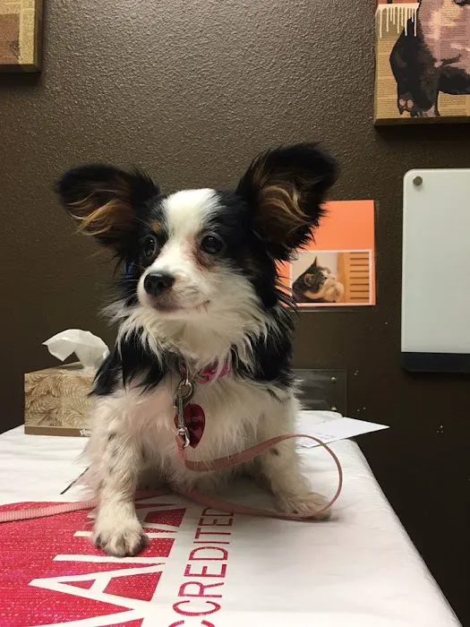 New Hope Animal Hospital Picture 4