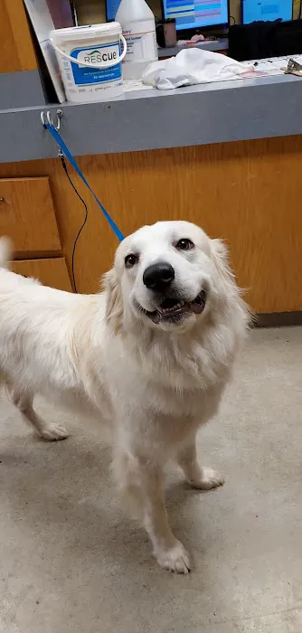 New Hope Animal Hospital Picture 9