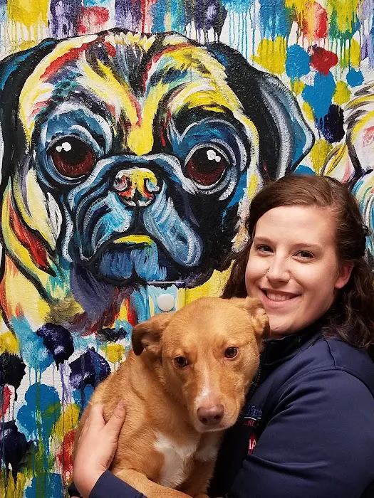 New Hope Animal Hospital Picture 10